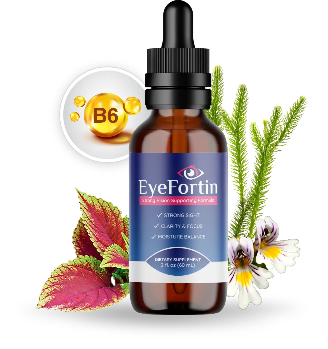 Buy Eyefortin